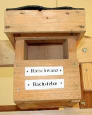 Nistkasten-Rotschwanz.jpg